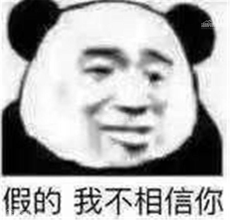 115.jpg