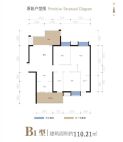 金和天府B1户型110.21㎡