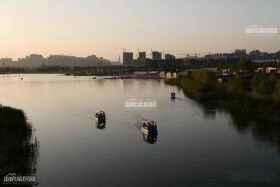 绵阳史上最残酷的土拍争夺战落幕：稀缺资源花落谁家？