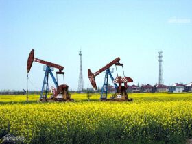 前8月全国土地出让收入增长4.2% 绵阳土拍热度依旧？