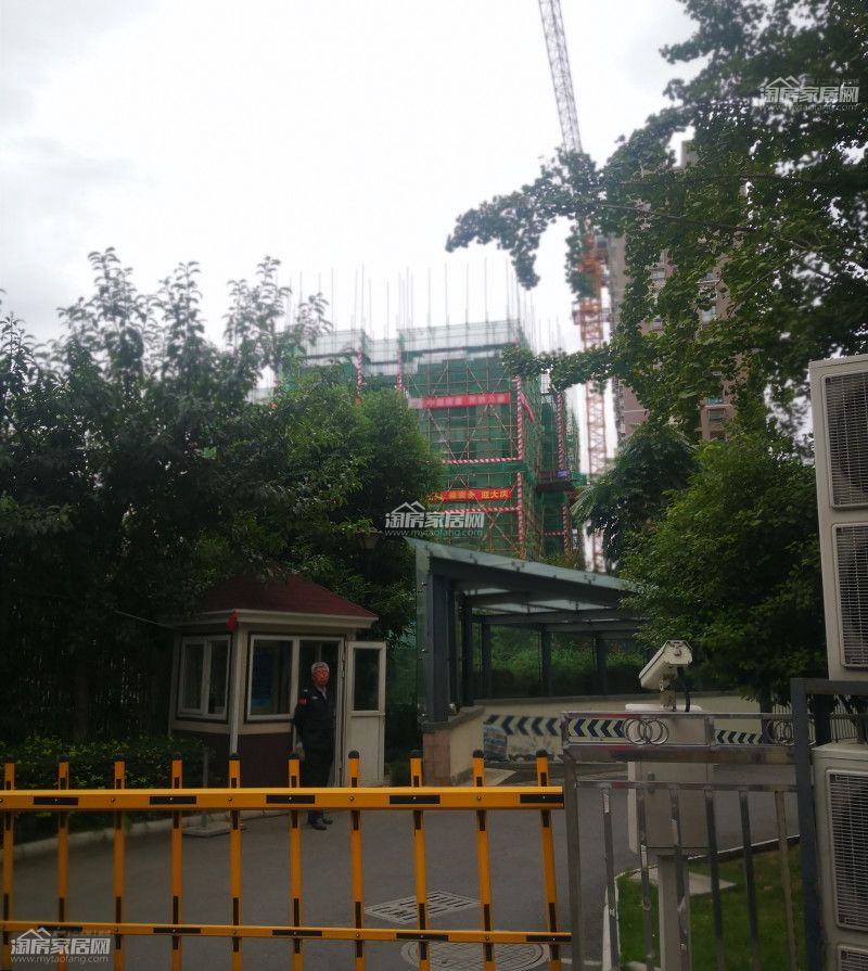 润森金座实景图