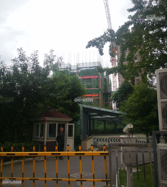 润森金座实景图