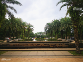 淘房融创海南看房团圆满首发，完美成交！