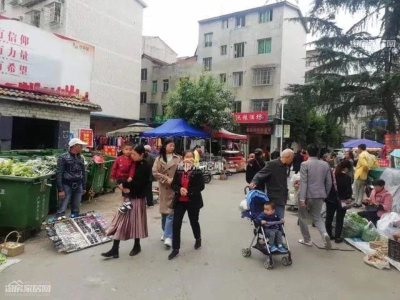 115.jpg