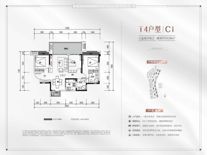  东原凯越·印江山T4户型C1户型图