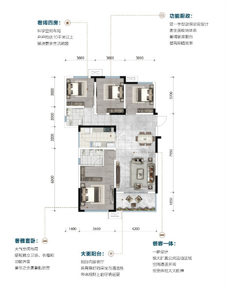 D户型户型图