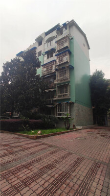 小区实景