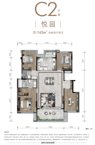 C2悦园户型