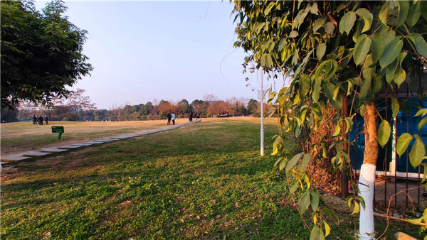 小区实景