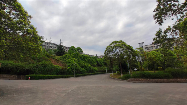 小区实景
