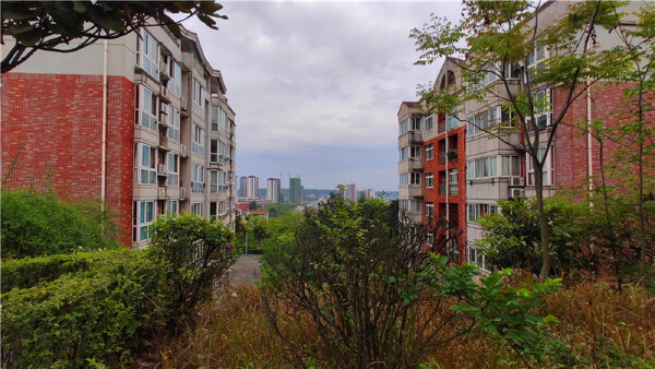 小区实景