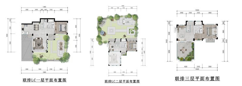 联排LC户型户型图