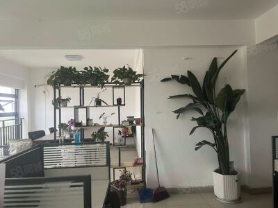 95㎡，租金1330元/月