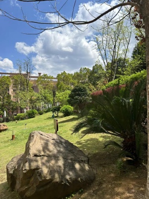 實(shí)景