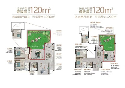 户型图