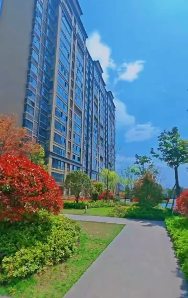 实景图