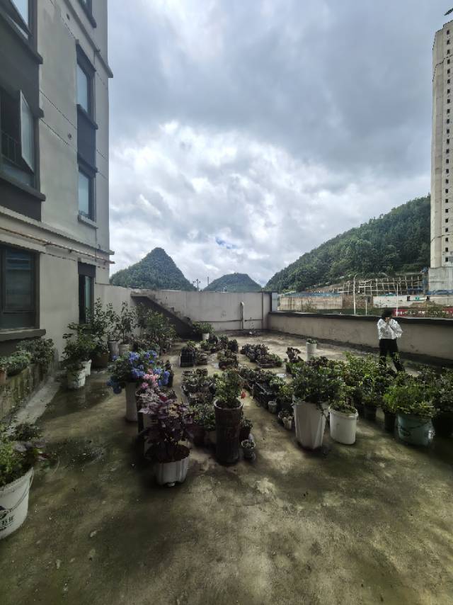 四川/绵阳新城凤凰台，3室2厅2卫，103.90㎡，毛坯，售价85.80万 四川/绵阳二手房