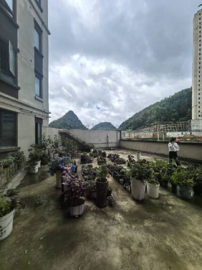 新城凤凰台，3室2厅2卫，103.90㎡，毛坯，售价85.80万