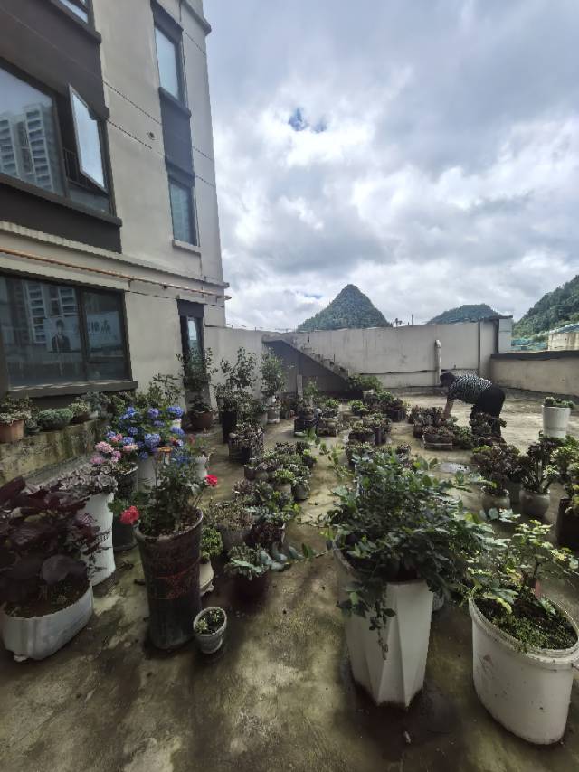四川/绵阳新城凤凰台，3室2厅2卫，103.90㎡，毛坯，售价85.80万 四川/绵阳二手房