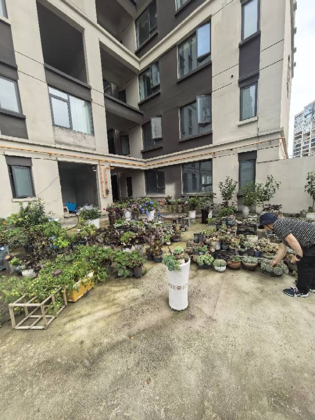 四川/绵阳新城凤凰台，3室2厅2卫，103.90㎡，毛坯，售价85.80万 四川/绵阳二手房