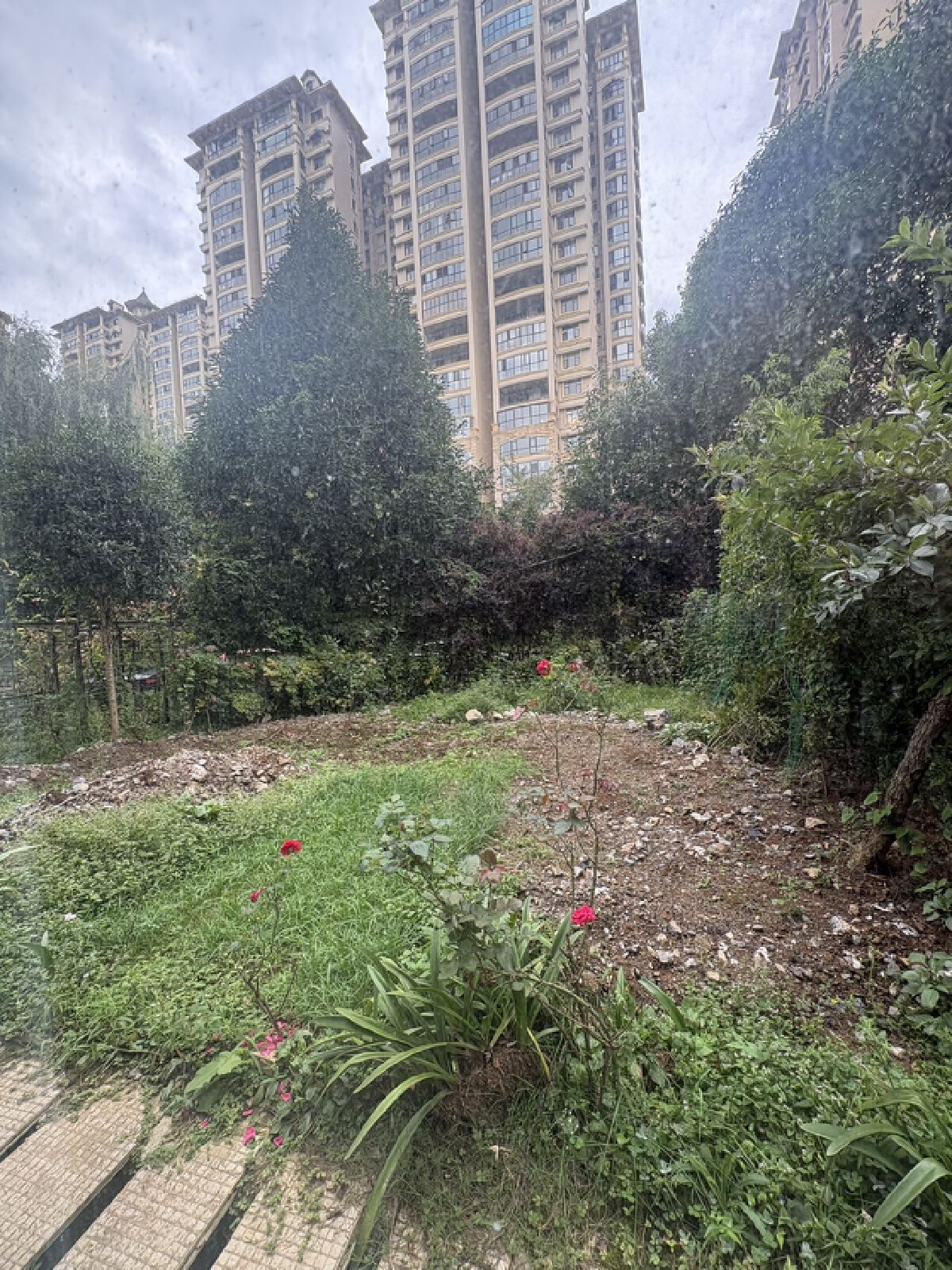 四川/绵阳水木清华，3室1厅1卫，95㎡，租金1500元/月 四川/绵阳租房