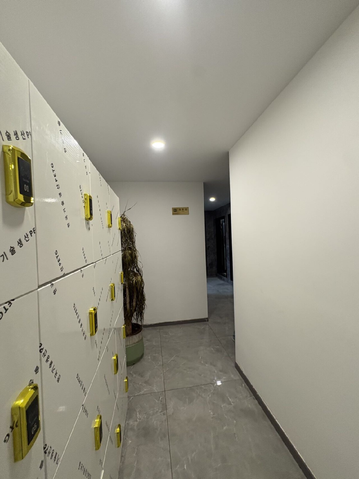 四川/绵阳金山豪景，800.00㎡，精装，租金180000.00元/年 四川/绵阳租房