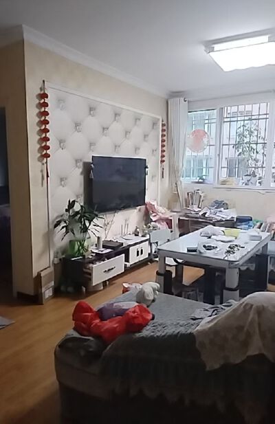 桃树林，2室1厅1卫，57.33㎡，售价9.9万